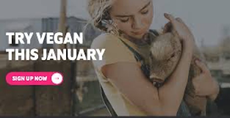 Try Veganuary